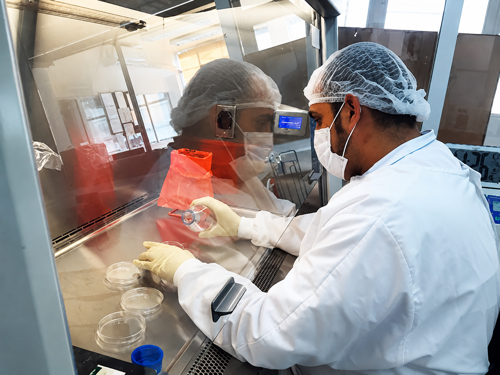 Instituto Designado en Microbiología y Química de Alimentos.png