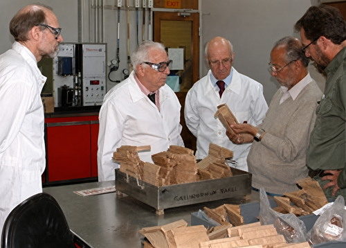 Instituto Designado en Química - Metales y sus aleaciones.png